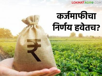 latest news Shetakri Karj Mafi : Relief for farmers or just a declaration? Loan restructuring process stalled Read in detail | Shetakri Karj Mafi : शेतकऱ्यांना दिलासा की फक्त घोषणा? कर्ज पुनर्गठनाची प्रक्रिया ठप्प वाचा सविस्तर latest news Shetakri Karj Mafi : Relief for farmers or just a declaration? Loan restructuring process stalled Read in detail | Shetakri Karj Mafi : शेतकऱ्यांना दिलासा की फक्त घोषणा? कर्ज पुनर्गठनाची प्रक्रिया ठप्प वाचा सविस्तर