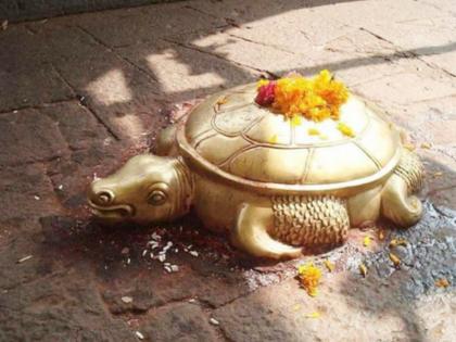 Do you know why there is a turtle in front of God in the temple? | देवळात देवापुढे कासव का असते माहित आहे का?