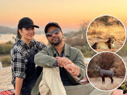 Vicky Kaushal आणि Katrina Kaif राजस्थानमध्ये सेलिब्रेट करणार न्यू इअर, व्हॅकेशनचे सुंदर फोटो आले समोर