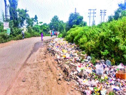 Trash empire in Chakan, Plastic waste on the road | चाकणमध्ये कचऱ्याचे साम्राज्य, प्लॅस्टिकचा कचरा रस्त्यावर