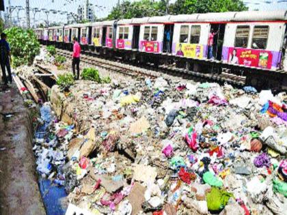 Now the eyes of the policemen on the garbage | कचरा फेकणाऱ्यांवर आता पोलिसांची नजर, स्वच्छतेसाठी उपाययोजना