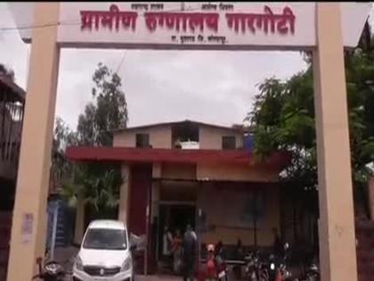 84 people poisoned by offerings at Naganwadi | नागणवाडी येथे प्रसादातून ८४ जणांना विषबाधा