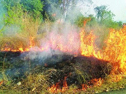 Environmental degradation caused by deforestation; Need for awareness from the administration | वणव्यांमुळे होतोय पर्यावरणाचा ऱ्हास; प्रशासनाकडून जनजागृतीची गरज