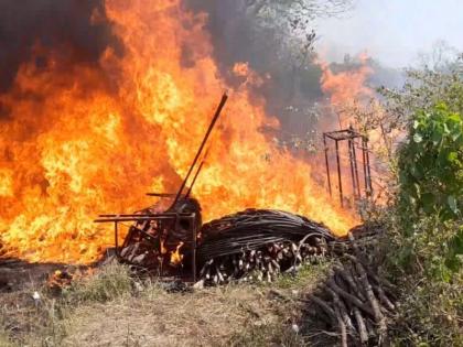 Burn the shednet with a drip set; Farmer's loss of five lakh rupees, incident at Kumbhari | ठिबक संचासह शेडनेट जळून खाक; शेतकऱ्याचे पाच लाख रुपयांचे नुकसान, कुंभारी येथील घटना