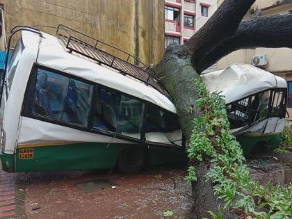 The tree collapsed, causing severe damage to three buses, two four-wheelers, a two-wheeler and a JCB | वृक्ष कोसळून तीन बसेस, दोन चारचाकी, एक दुचाकी व एका जेसीबीची झाली मोठी हानी