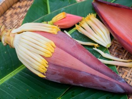 banana flower is extremely beneficial in anemia | रक्ताची कमतरता भरुन काढते हे फुल, 'अशापद्धतीने' करा उपयोग