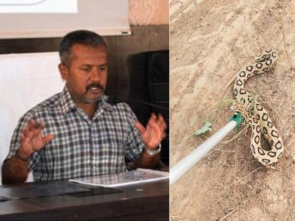 Divisional Commissioner Sunil Kendrakar rescued from the snake attack | थरारक! घोणसच्या हल्ल्यातून बालंबाल बचावले विभागीय आयुक्त सुनील केंद्रेकर