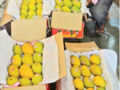 Kerala mangoes also in Mumbai, the atmosphere of excitement in the market | केरळचा आंबाही मुंबईत, मार्केटमध्ये उत्साहाचे वातावरण