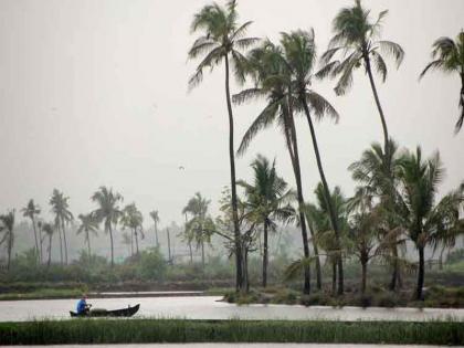 Which states in India to travel for the monsoon? | पावसाळ्यात भारतातल्या कोणत्या राज्यांमध्ये फिरायला जाल?....