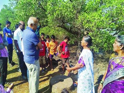 Kandalvan gave Kalinje village a new identity; There is a nature tour in the village of Srivardhan | कांदळवनाने दिली काळिंजे गावाला नवी ओळख; श्रीवर्धनमधील गावात होतेय निसर्गपर्यटन