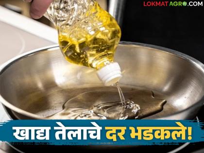 Latest news Soyabean oil market How many rupees did the price of edible oil increase in 15 days | 15 दिवसांत खाद्यतेलाचे दर किती रुपयांनी वाढले, 15 लिटरच्या कॅनची किंमती कशा? वाचा सविस्तर Latest news Soyabean oil market How many rupees did the price of edible oil increase in 15 days | 15 दिवसांत खाद्यतेलाचे दर किती रुपयांनी वाढले, 15 लिटरच्या कॅनची किंमती कशा? वाचा सविस्तर