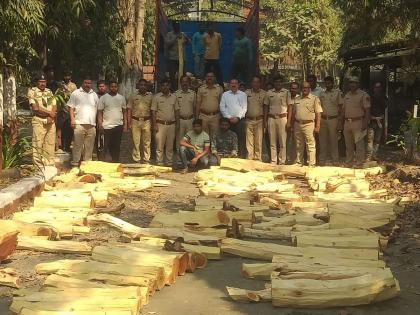 Navi Mumbai: Khaira timber transporters detained, Panvel Forest Department action | Navi Mumbai: खैराच्या लाकडांची वाहतूक करणारे ताब्यात, पनवेल वन विभागाची कारवाई