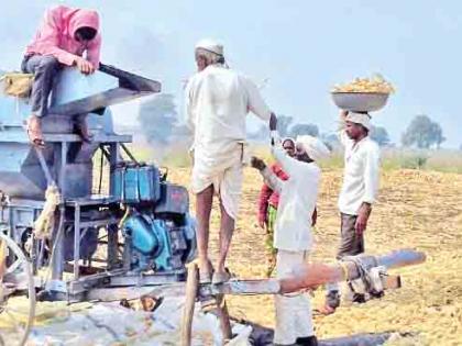 'Khaln Meal' or 'Dawa'; Extinct farm festival! | ‘खळं जेवण’ अथवा ‘डावरा’ ; नामशेष झालेला कृषी उत्सव !