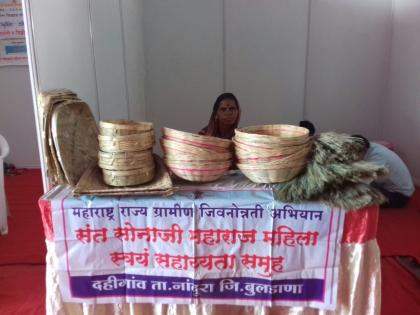 # Khamgaon Krishi Mahotsav: things that beat the plastic |  #खामगाव कृषि महोत्सव : प्लास्टीकवर मात करणाऱ्या  वस्तूंची रेलचेल