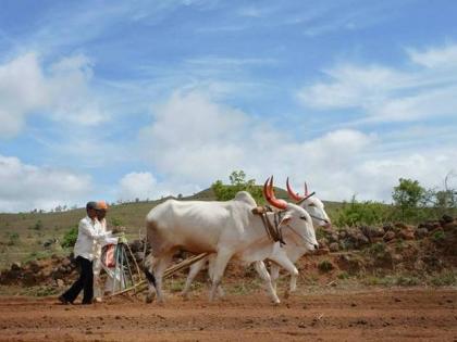 Nagpur Division: Kharif planning on an area of 20 lakh hectares | नागपूर विभाग :  २० लाख हेक्टर क्षेत्रावर खरीपचे नियोजन