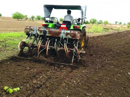  Kharif sown over five lakh hectare in Buldana district | बुलडाणा जिल्ह्यात पाच लाख हेक्टरवर खरीपाची पेरणी