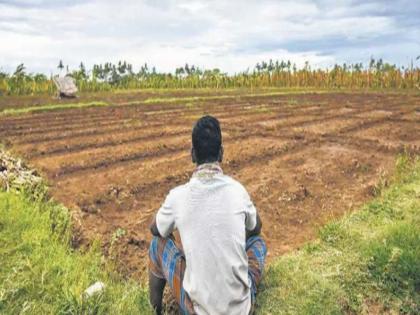 Delayed arrival of rains, 'wait and watch' for seed purchase | पावसाचे आगमन लांबले, बियाणे खरेदीसाठी ‘वेट ॲण्ड वॉच’