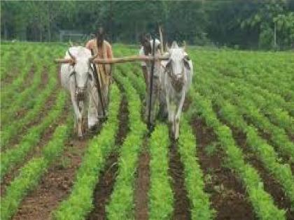 Abundant stock of chemical fertilizers and seeds required for Kharif season is available in Satara district | शेतकऱ्यांनो खरिपाची तयारी करा; खत, बियाणे साठा मुबलक उपलब्ध