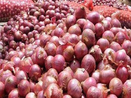 Satara: दराअभावी खटाव उत्तर भागात ३०० ट्रक कांदा पडून, शेतकरी हवालदिल Satara: दराअभावी खटाव उत्तर भागात ३०० ट्रक कांदा पडून, शेतकरी हवालदिल