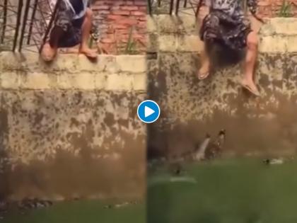 man jumps into the water full with crocodile video goes viral on internet | Viral Video: खतरनाक! मगरींनी भरलेल्या पाण्यात उडी टाकली या पठ्ठ्यानं, अन् मग जे झालं ते होतं भयानक