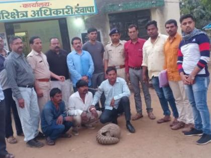 Three arrested for selling pangolin | खवले मांजराची विक्री करणाऱ्या तिघांना अटक