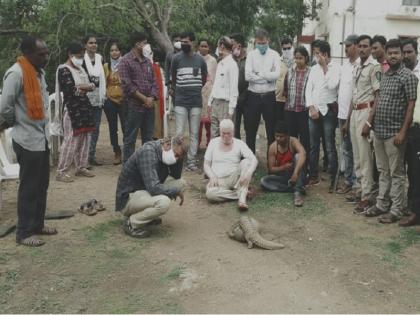 Interstate gang smuggling scaly cats arrested in Biloli | खवल्या मांजराची तस्करी करणारी आंतरराज्यीय टोळी जेरबंद