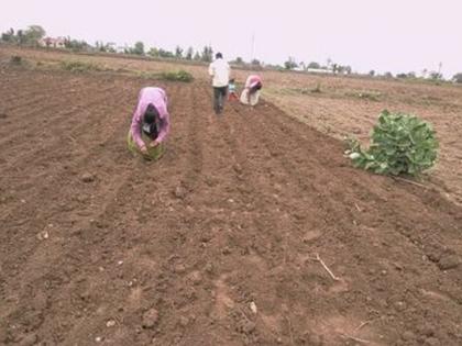 Lack of heavy rains, sowing on 10,000 hectares in Khamgaon was delayed | दमदार पावसाअभावी खामगावमध्ये १० हजार हेक्टरवरील पेरणी रखडली