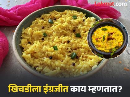 What is the English word for khichdi you should know | आपल्या सगळ्यांना आवडणाऱ्या खिचडीला इंग्रजीत काय म्हणतात? उत्तर असं कधी विचारही केला नसेल What is the English word for khichdi you should know | आपल्या सगळ्यांना आवडणाऱ्या खिचडीला इंग्रजीत काय म्हणतात? उत्तर असं कधी विचारही केला नसेल