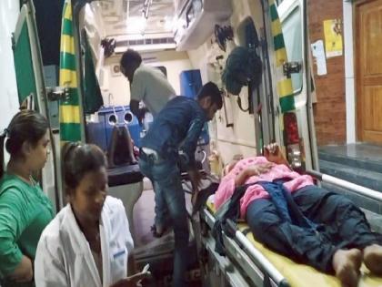 Auto returning from Markanda yatra hit by buffalo; Four people injured as the auto overturned | मार्कंडा यात्रेतून परतणाऱ्या ऑटोला म्हैस आदळली; ऑटो उलटल्याने चार जण जखमी