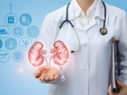 kidney disease home remedies | Health tips: किडनी स्टोनवर फारच उपयुक्त आहे हे फळ, सहज मिळते! जास्त फायद्यासाठी 'असा' करा वापर