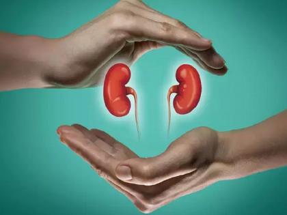 Take care of the kidneys, otherwise find a donor! In Marathwada, 300 people need kidneys | किडनीला जपा, नाही तर दाता शोधून ठेवा ! मराठवाड्यात ३०० जणांना हवी किडनी