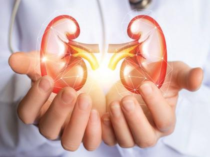 World Kidney Day: Very important in chronic kidney disease taking care of the food these diets can follow | World Kidney Day : क्रोनिक किडनी डिजीजमध्ये आहार ठरतो महत्त्वाचा, ही डाएट करू शकता फॉलो!