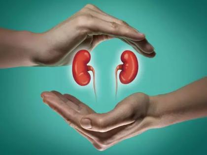 kidney failure symptoms urine color starts changing know more | Kidney Failure: मुत्रपिंड निकामी होत असल्यास शरीर देतं संकेत, 'या' रंगाची होते लघवी, वेळीच ओळखा धोका!