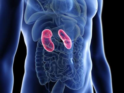 World Kidney Day; Risk of kidney damage if urinary incontinence is ignored | जागतिक किडनी दिवस; मूत्रसंसर्गाकडे दुर्लक्ष केल्यास मूत्रपिंडांचे नुकसान होण्याचा धोका