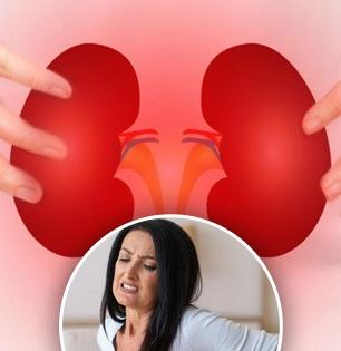 किडनी बरोबर काम करत आहेत की नाही कसं कळेल? पाहा 'या' आहेत काही सोप्या पद्धती