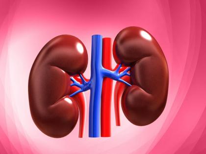 This is the official cost of a kidney transplant | किडनी प्रत्यारोपणासाठी 'एवढा' येतो अधिकृत खर्च