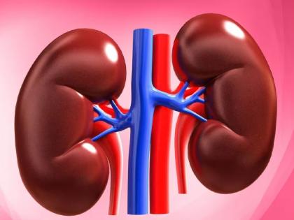 As both kidneys fail the mother will give the kidney to the child in kolhapur | Kolhapur: किडनीच काय लेकासाठी काळीजही देईन; आईमुळे मुलाला मिळणार जीवदान 