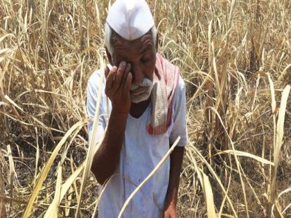 It is far from getting respect in the Farmers Samman Yojana Farmers do not get simple information | हेलपाटे मारून शेतकरी दमले, ‘सन्मान’ दूरच, पदरी निराशाच