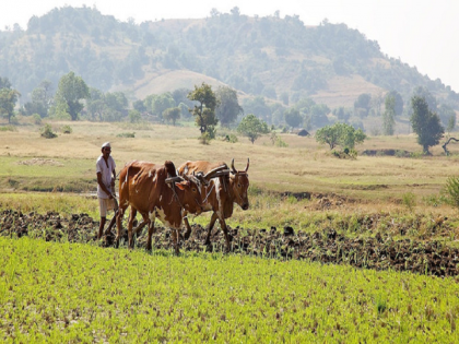 PM Kisan Yojana money did not reach in the bank; Find out when will it come | आजचा अंदाज चुकला! पीएम किसान योजनेचे पैसे बँकेत आले नाहीत; जाणून घ्या कधी मिळणार...