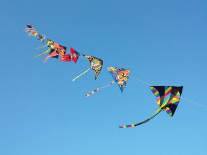 Nagpur: 'Sankranta', police register cases against those who fly kites with nylon manja | Nagpur: नायलॉन मांजाने पतंग उडविणाऱ्यांवर ‘संक्रांत’, पोलिसांनी दाखल केले गुन्हे