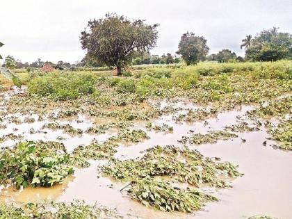 Heavy rain compensation will now be available at a revised rate; Government decision announced | अतिवृष्टीची नुकसान भरपाई आता मिळणार सुधारित दराने; शासन निर्णय केला जाहीर