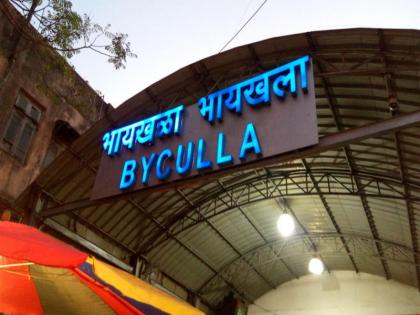 Byculla, Chinchpokli, Paral, Diva, Titwala; The look of 15 stations will change | भायखळा, चिंचपोकळी, परळ, दिवा, टिटवाळा होणार चकाचक; १५ स्थानकांचे रूपडे पालटणार