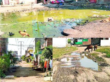 nmc says clean city but people of nagpur facing huge problems due to uncleanness | घराघरापुढे घाण, मनपा म्हणते वस्त्या छान; आरोग्याची धुळधाण