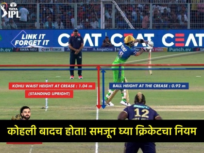 IPL 2024 KKR vs RCB Virat Kohli Dismissal Waist height No Ball Controversy Cricket Rule Explained read in detailed | Virat Kohli Controversy, Rule Explained: विराट कोहलीला आऊट ठरवणं योग्यच; तो नो-बॉल नव्हता! समजून घ्या क्रिकेटचा महत्वाचा नियम