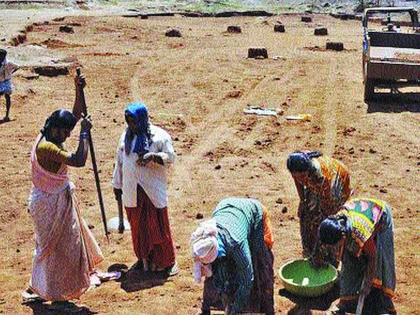 Start of 2,170 MGNREGA works in Konkan division | कोकण विभागात मनरेगाच्या २,१७0 कामांना सुरुवात