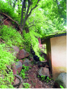 The cliff behind the Chhodda school, next to the valley | चाफोडी शाळेमागे उंच कडा, पुढे दरी