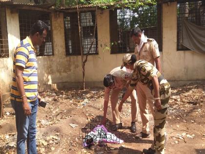 Police suspect that the infant was thrown from an immoral relationship, the infant was found with its limbs broken by a dog | Kolhapur: अनैतिक संबंधातून अर्भक फेकल्याचा पोलिसांचा संशय, कुत्र्याने लचके तोडलेल्या अवस्थेत आढळली होती अर्भके