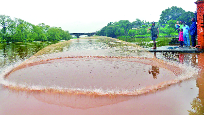 Rep. In the district, thrust in the dam area | जिल्ह्यात रिपरिप, धरणक्षेत्रात जोर