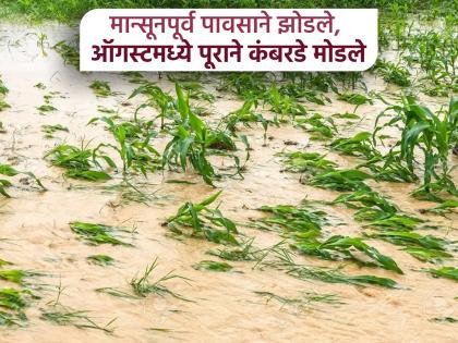 Heavy rains, floods affect 10000 hectares in Kolhapur district Panchnamas were filed but compensation has not been received yet | पंचनामे झाले; पण भरपाई कधी; अतिवृष्टी, महापुराने कोल्हापूर जिल्ह्यात १० हजार हेक्टर क्षेत्र बाधित Heavy rains, floods affect 10000 hectares in Kolhapur district Panchnamas were filed but compensation has not been received yet | पंचनामे झाले; पण भरपाई कधी; अतिवृष्टी, महापुराने कोल्हापूर जिल्ह्यात १० हजार हेक्टर क्षेत्र बाधित