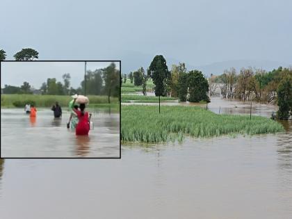 Due to floods, 20000 liters of milk are lost in households and 2000 quintals of vegetables are lost in the fields every day in Kolhapur district | Kolhapur flood: वीस हजार लिटर दूध घरात, दोन हजार क्विंटल भाजीपाला शिवारात; शेतकऱ्यांसमोर दुहेरी संकट
